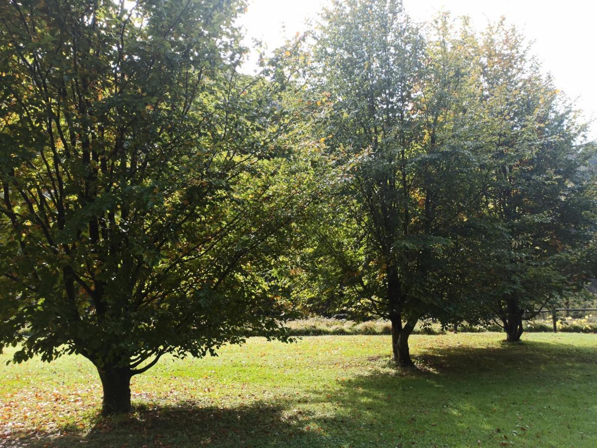 Il Bosco Di Campo Marzano Sunlight Apartment Borzonasca Ngoại thất bức ảnh
