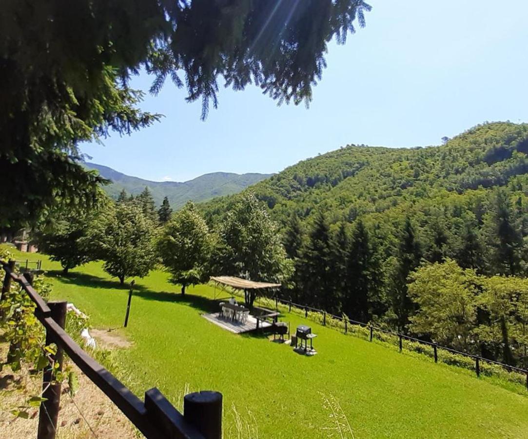 Il Bosco Di Campo Marzano Sunlight Apartment Borzonasca Ngoại thất bức ảnh