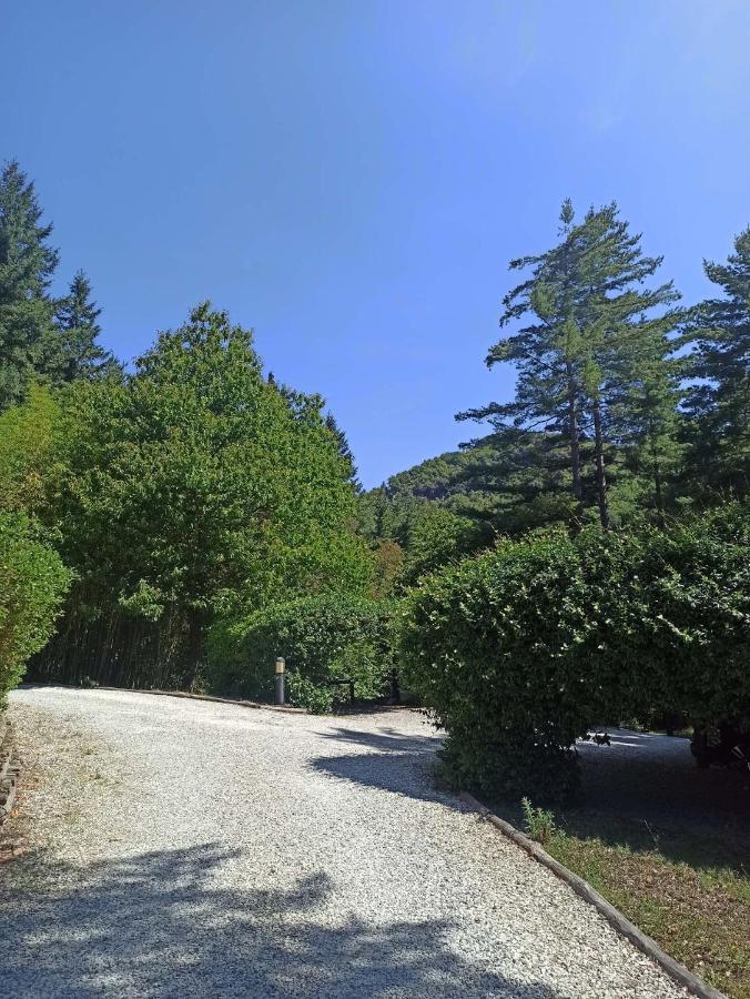 Il Bosco Di Campo Marzano Sunlight Apartment Borzonasca Ngoại thất bức ảnh