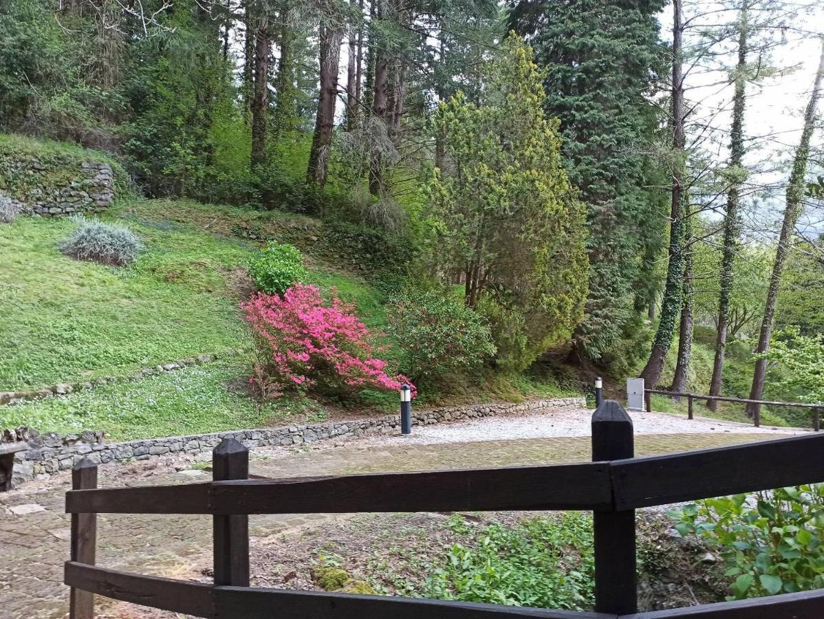 Il Bosco Di Campo Marzano Sunlight Apartment Borzonasca Ngoại thất bức ảnh