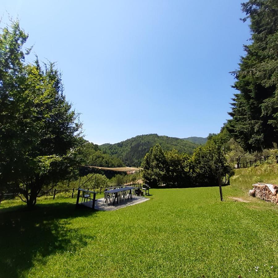 Il Bosco Di Campo Marzano Sunlight Apartment Borzonasca Ngoại thất bức ảnh